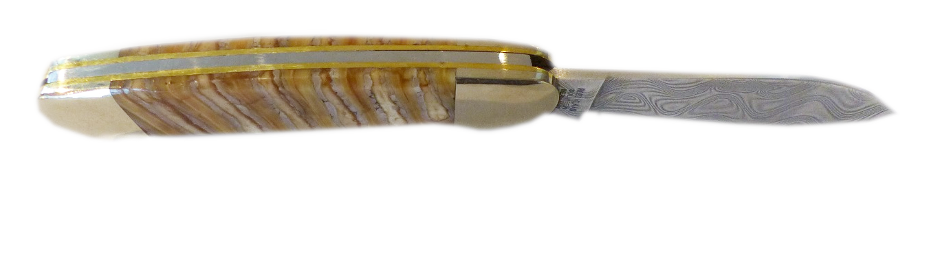 Robert Klaas Taschenmesser mit Griffschalen aus Mammutbackenzahn stabilisiert 